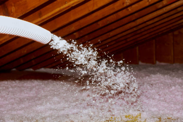 Best Insulation Installation Services in Paloma Creek South, TX