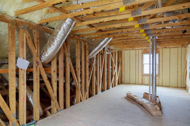Best Residential Insulation in Paloma Creek South, TX