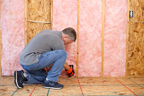 Best Insulation for Specific Applications in Paloma Creek South, TX